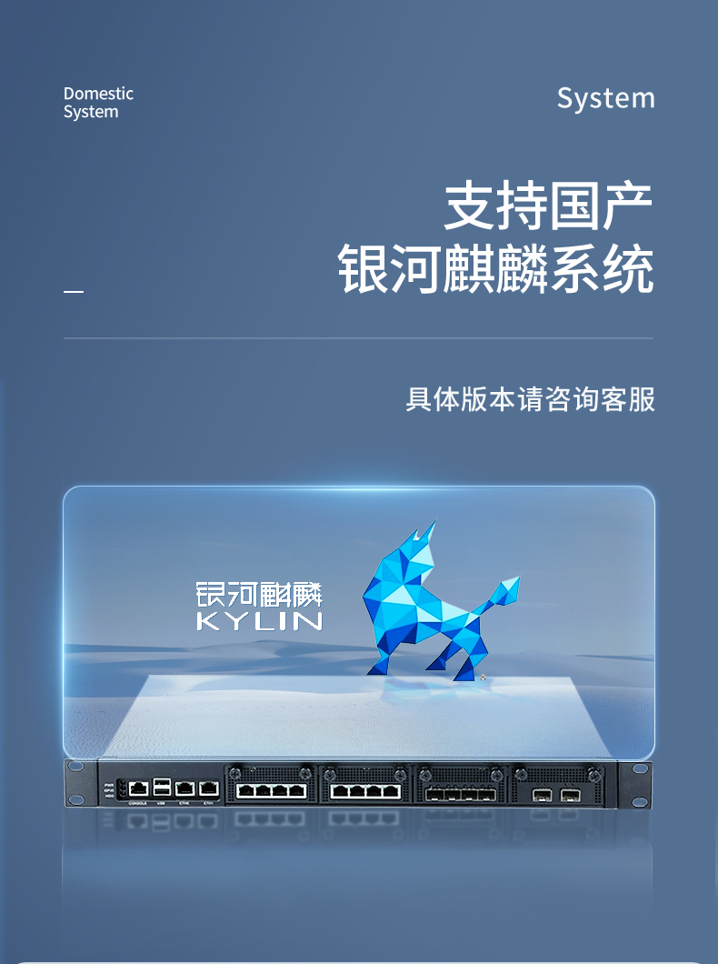 飛騰國(guó)產(chǎn)化重慶工控機(jī),國(guó)產(chǎn)化系統(tǒng),DT-12420-SD2000.jpg